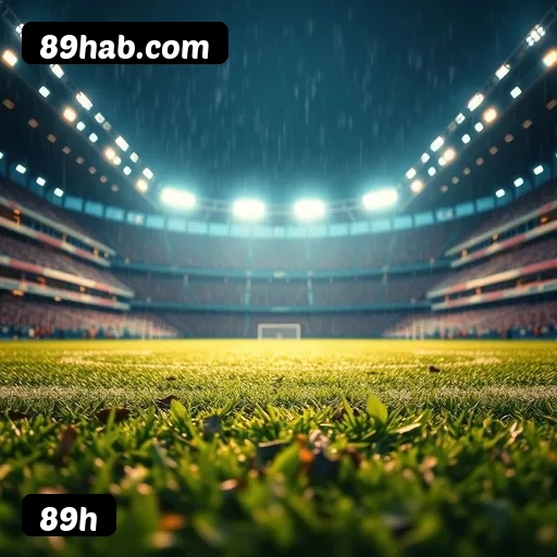 6 vantagens exclusivas do programa VIP da 89h